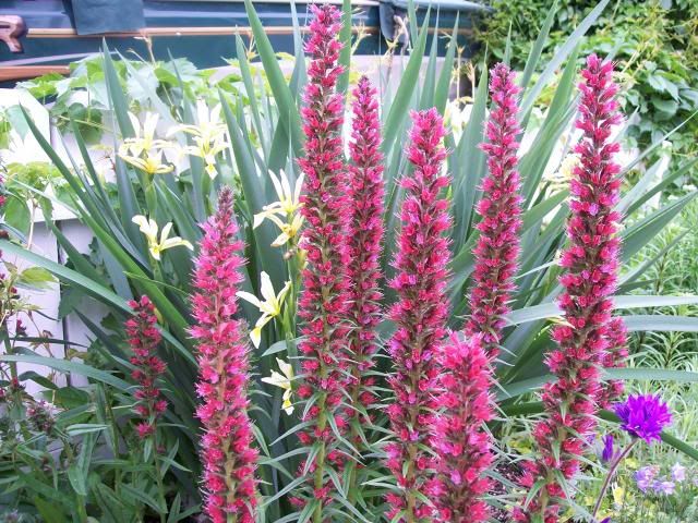  photo 100_4151_zps02cda7c0.jpg